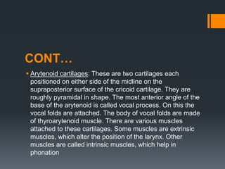 CONT…
 Arytenoid cartilages: These are two cartilages each
positioned on either side of the midline on the
supraposterior surface of the cricoid cartilage. They are
roughly pyramidal in shape. The most anterior angle of the
base of the arytenoid is called vocal process. On this the
vocal folds are attached. The body of vocal folds are made
of thyroarytenoid muscle. There are various muscles
attached to these cartilages. Some muscles are extrinsic
muscles, which alter the position of the larynx. Other
muscles are called intrinsic muscles, which help in
phonation
 