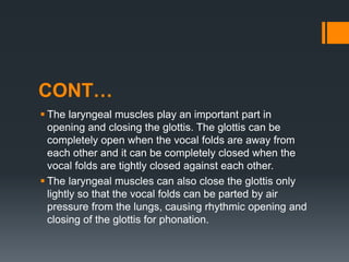 CONT…
 The laryngeal muscles play an important part in
opening and closing the glottis. The glottis can be
completely open when the vocal folds are away from
each other and it can be completely closed when the
vocal folds are tightly closed against each other.
 The laryngeal muscles can also close the glottis only
lightly so that the vocal folds can be parted by air
pressure from the lungs, causing rhythmic opening and
closing of the glottis for phonation.
 