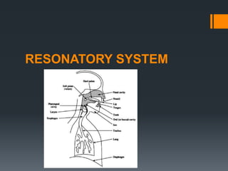 RESONATORY SYSTEM
 