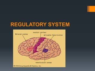 REGULATORY SYSTEM
 