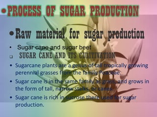 PROCESS OF SUGAR PRODUCTION
 SUGAR CANE AND ITS CULITIVATION
 Planting Sugar Cane
• Select healthy sugar cane plants
• S...