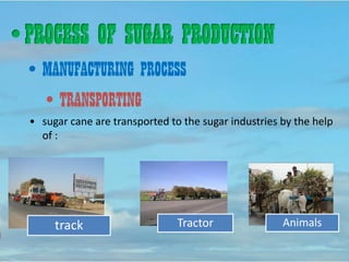 • PROCESS OF SUGAR PRODUCTION
• MANUFACTURING PROCESS
• Milling
 Milling is process of crushing the sticks of sugar cane ...