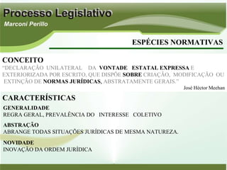 ESPÉCIES NORMATIVAS CONCEITO “ DECLARAÇÃO  UNILATERAL  DA   VONTADE  ESTATAL EXPRESSA   E EXTERIORIZADA POR ESCRITO, QUE DISPÕE   SOBRE   CRIAÇÃO,  MODIFICAÇÃO  OU  EXTINÇÃO DE   NORMAS JURÍDICAS ,   ABSTRATAMENTE GERAIS.” José Héctor Meehan CARACTERÍSTICAS ABSTRAÇÃO ABRANGE TODAS SITUAÇÕES JURÍDICAS DE MESMA NATUREZA.  GENERALIDADE   REGRA GERAL, PREVALÊNCIA DO  INTERESSE  COLETIVO NOVIDADE INOVAÇÃO DA ORDEM JURÍDICA 