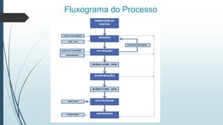 Fluxograma do Processo
 