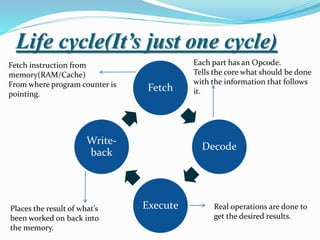 Life cycle(It’s just one cycle)
Fetch
Decode
Execute
Write-
back
Fetch instruction from
memory(RAM/Cache)
From where program counter is
pointing.
Each part has an Opcode.
Tells the core what should be done
with the information that follows
it.
Real operations are done to
get the desired results.
Places the result of what’s
been worked on back into
the memory.
 