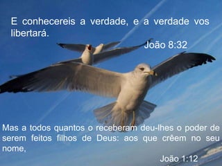 Processo Rvcc   Final