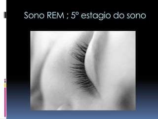 Sono REM ; 5° estagio do sono
 