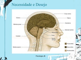 Necessidade e Desejo Psicologia JB 