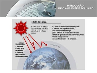 INTRODUÇÃO: MEIO AMBIENTE E POLUIÇÃO 