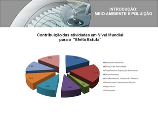 INTRODUÇÃO: MEIO AMBIENTE E POLUIÇÃO 