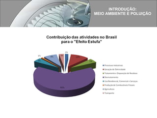 INTRODUÇÃO: MEIO AMBIENTE E POLUIÇÃO 