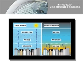 INTRODUÇÃO: MEIO AMBIENTE E POLUIÇÃO 