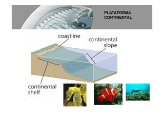 Processos Produtivos I   Ud II   Agua