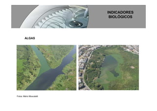 Processos Produtivos I   Ud II   Agua