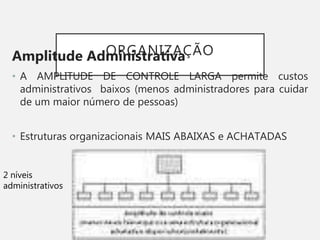 ORGANIZAÇÃO
Amplitude Administrativa
• A AMPLITUDE DE CONTROLE LARGA permite custos
administrativos baixos (menos administradores para cuidar
de um maior número de pessoas)
• Estruturas organizacionais MAIS ABAIXAS e ACHATADAS
2 níveis
administrativos
 