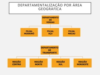 DEPARTAMENTALIZAÇÃO POR ÁREA
GEOGRÁFICA
DEPARTAMENTO
DE
VENDAS
FILIAL
MOSSORÓ
FILIAL
AÇU
FILIAL
MACAU
DEPARTAMENTO
DE
TRANSPORTE
REGIÃO
CENTRO
REGIÃO
NORTE
REGIÃO
SUL
REGIÃO
NORDESTE
 