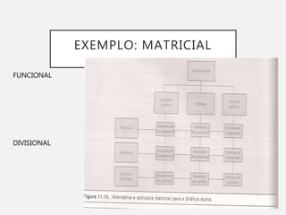 EXEMPLO: MATRICIAL
FUNCIONAL
DIVISIONAL
 