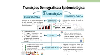 Transições Demográfica x Epidemiológica
 