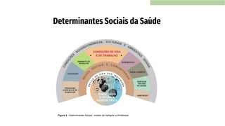 Determinantes Sociais da Saúde
Figura 2 - Determinantes Sociais: modelo de Dahlgren e Whitehead
 