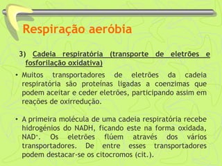 Respiração aeróbia
3) Cadeia respiratória (transporte de eletrões e
fosforilação oxidativa)
• Muitos transportadores de eletrões da cadeia
respiratória são proteínas ligadas a coenzimas que
podem aceitar e ceder eletrões, participando assim em
reações de oxirredução.
• A primeira molécula de uma cadeia respiratória recebe
hidrogénios do NADH, ficando este na forma oxidada,
NAD+. Os eletrões flúem através dos vários
transportadores. De entre esses transportadores
podem destacar-se os citocromos (cit.).
 