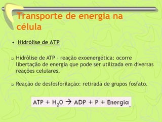 Transporte de energia na
célula
 Hidrólise de ATP – reação exoenergética: ocorre
libertação de energia que pode ser utilizada em diversas
reações celulares.
 Reação de desfosforilação: retirada de grupos fosfato.
• Hidrólise de ATP
 