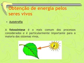 Obtenção de energia pelos
seres vivos
• Autotrofia
A fotossíntese é o mais comum dos processos
considerados e é particularmente importante para a
maioria dos sistemas vivos.
 