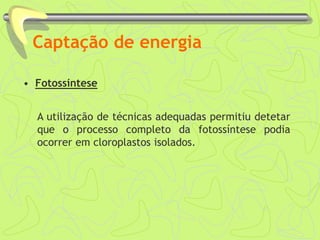 Captação de energia
• Fotossíntese
A utilização de técnicas adequadas permitiu detetar
que o processo completo da fotossíntese podia
ocorrer em cloroplastos isolados.
 