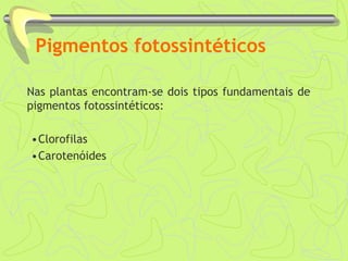 Pigmentos fotossintéticos
Nas plantas encontram-se dois tipos fundamentais de
pigmentos fotossintéticos:
•Clorofilas
•Carotenóides
 