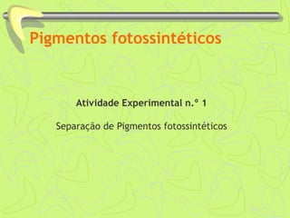 Pigmentos fotossintéticos
Atividade Experimental n.º 1
Separação de Pigmentos fotossintéticos
 