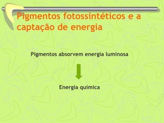 Pigmentos fotossintéticos e a
captação de energia
Pigmentos absorvem energia luminosa
Energia química
 