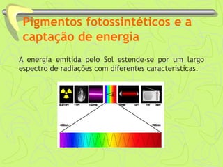Pigmentos fotossintéticos e a
captação de energia
A energia emitida pelo Sol estende-se por um largo
espectro de radiações com diferentes características.
 