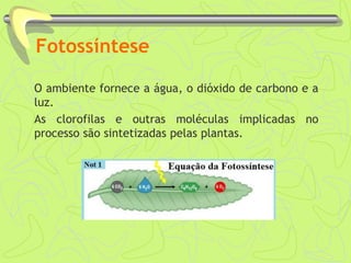 Fotossíntese
O ambiente fornece a água, o dióxido de carbono e a
luz.
As clorofilas e outras moléculas implicadas no
processo são sintetizadas pelas plantas.
 