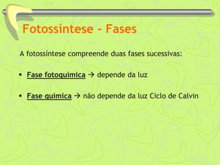 Fotossíntese - Fases
A fotossíntese compreende duas fases sucessivas:
 Fase fotoquímica  depende da luz
 Fase química  não depende da luz Ciclo de Calvin
 