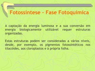 Fotossíntese – Fase Fotoquímica
A captação da energia luminosa e a sua conversão em
energia biologicamente utilizável requer estruturas
organizadas.
Estas estruturas podem ser consideradas a vários níveis,
desde, por exemplo, os pigmentos fotossintéticos nos
tilacóides, aos cloroplastos e à própria folha.
 