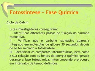 Fotossíntese – Fase Química
Ciclo de Calvin
Estes investigadores conseguiram:
I – Identificar diferentes passos de fixação do carbono
radioativo.
II – Verificar que o carbono radioativo aparecia
integrado em moléculas de glicose 30 segundos depois
de se ter iniciado a fotossíntese.
III – Identificar os compostos intermediários, bem como
a sua relação com as fontes de energia química gerada
durante a fase fotoquímica, interrompendo o processo
em intervalos de tempo definidos.
 