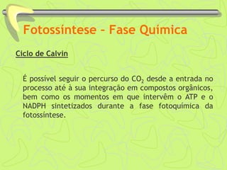 Fotossíntese – Fase Química
Ciclo de Calvin
É possível seguir o percurso do CO2 desde a entrada no
processo até à sua integração em compostos orgânicos,
bem como os momentos em que intervêm o ATP e o
NADPH sintetizados durante a fase fotoquímica da
fotossíntese.
 