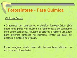 Fotossíntese – Fase Química
Ciclo de Calvin
• Origina-se um composto, o aldeído fosfoglicérico (3C)
daqui uma parte vai intervir na regeneração do composto
com cinco carbonos, ribulose difosfato; o resto é utilizado
para diversas sínteses no estroma, entre as quais se
destaca a síntese de glicose.
Estas reações desta fase da fotossíntese dão-se no
estroma no cloroplasto.
 