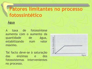Fatores limitantes no processo
fotossintético
Água
A taxa de fotossíntese
aumenta com o aumento da
quantidade de água,
estabilizando num valor
máximo.
Tal facto deve-se à saturação
das enzimas e dos
fotossistemas intervenientes
no processo.
 