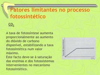 Fatores limitantes no processo
fotossintético
CO2
A taxa de fotossíntese aumenta
proporcionalmente ao aumento
do dióxido de carbono
disponível, estabilizando a taxa
fotossintética num valor
máximo.
Este facto deve-se à saturação
das enzimas e dos fotossistemas
intervenientes no mecanismo
fotossintético.
 