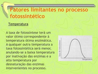 Fatores limitantes no processo
fotossintético
Temperatura
A taxa de fotossíntese terá um
valor ótimo correspondente à
temperatura ótima enzimática.
A qualquer outra temperatura a
taxa fotossintética será menor,
anulando-se a baixa temperatura
por inativação das enzimas e a
alta temperatura por
desnaturação das enzimas
intervenientes no processo.
 
