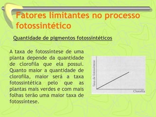 Fatores limitantes no processo
fotossintético
Quantidade de pigmentos fotossintéticos
A taxa de fotossíntese de uma
planta depende da quantidade
de clorofila que ela possui.
Quanto maior a quantidade de
clorofila, maior será a taxa
fotossintética pelo que as
plantas mais verdes e com mais
folhas terão uma maior taxa de
fotossíntese.
 