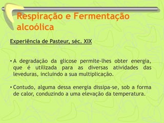 Respiração e Fermentação
alcoólica
Experiência de Pasteur, séc. XIX
• A degradação da glicose permite-lhes obter energia,
que é utilizada para as diversas atividades das
leveduras, incluindo a sua multiplicação.
• Contudo, alguma dessa energia dissipa-se, sob a forma
de calor, conduzindo a uma elevação da temperatura.
 