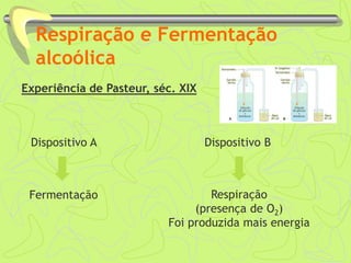 Respiração e Fermentação
alcoólica
Experiência de Pasteur, séc. XIX
Respiração
(presença de O2)
Foi produzida mais energia
Dispositivo A Dispositivo B
Fermentação
 