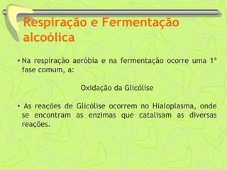 Respiração e Fermentação
alcoólica
• Na respiração aeróbia e na fermentação ocorre uma 1ª
fase comum, a:
Oxidação da Glicólise
• As reações de Glicólise ocorrem no Hialoplasma, onde
se encontram as enzimas que catalisam as diversas
reações.
 