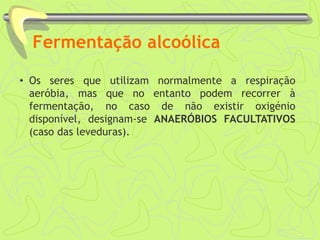 Fermentação alcoólica
• Os seres que utilizam normalmente a respiração
aeróbia, mas que no entanto podem recorrer à
fermentação, no caso de não existir oxigénio
disponível, designam-se ANAERÓBIOS FACULTATIVOS
(caso das leveduras).
 