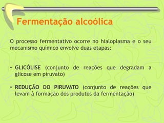 Fermentação alcoólica
O processo fermentativo ocorre no hialoplasma e o seu
mecanismo químico envolve duas etapas:
• GLICÓLISE (conjunto de reações que degradam a
glicose em piruvato)
• REDUÇÃO DO PIRUVATO (conjunto de reações que
levam à formação dos produtos da fermentação)
 
