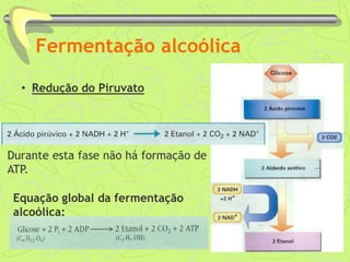 Fermentação alcoólica
• Redução do Piruvato
Durante esta fase não há formação de
ATP.
Equação global da fermentação
alcoólica:
 