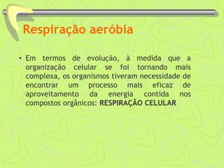 Respiração aeróbia
• Em termos de evolução, à medida que a
organização celular se foi tornando mais
complexa, os organismos tiveram necessidade de
encontrar um processo mais eficaz de
aproveitamento da energia contida nos
compostos orgânicos: RESPIRAÇÃO CELULAR
 