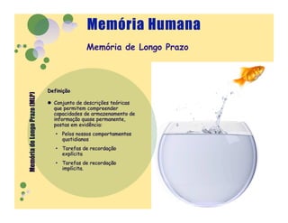 Memória de Longo Prazo
 