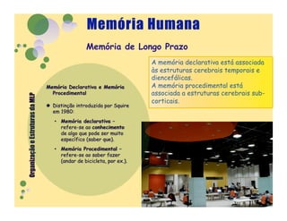 Memória de Longo Prazo
              A memória declarativa está associada
              às estruturas cerebrais temporais e
              diencefálicas.
              A memória procedimental está
              associada a estruturas cerebrais sub-
              corticais.
 